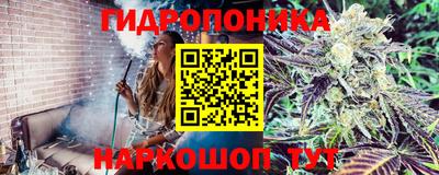 ешки Чапаевск