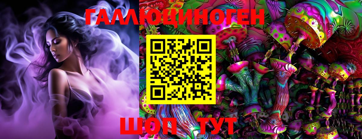 Галлюциногенные грибы Psilocybine cubensis Бахчисарай
