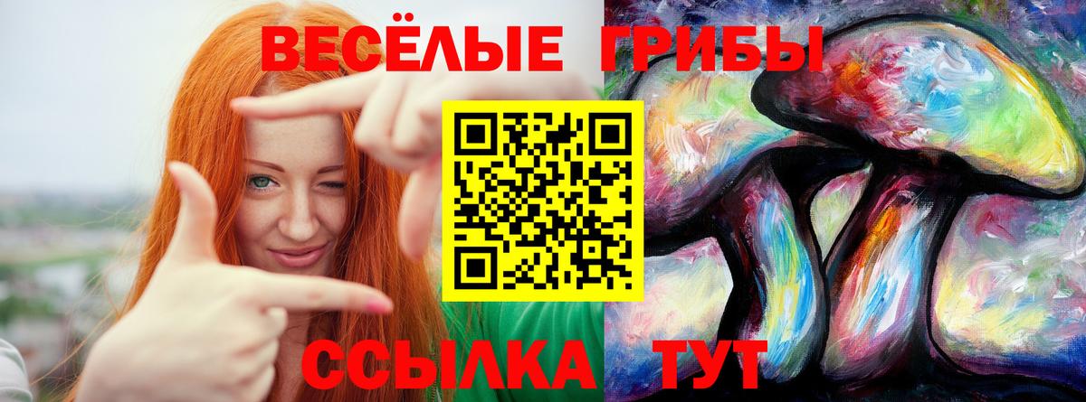 Псилоцибиновые грибы прущие грибы  Галлюциногенные грибы прущие грибы  Бахчисарай  Вход с VPN 